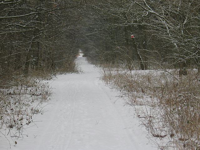 zytanien IMG_3977.jpg