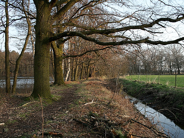 zytanien IMG_0177-640x480.jpg