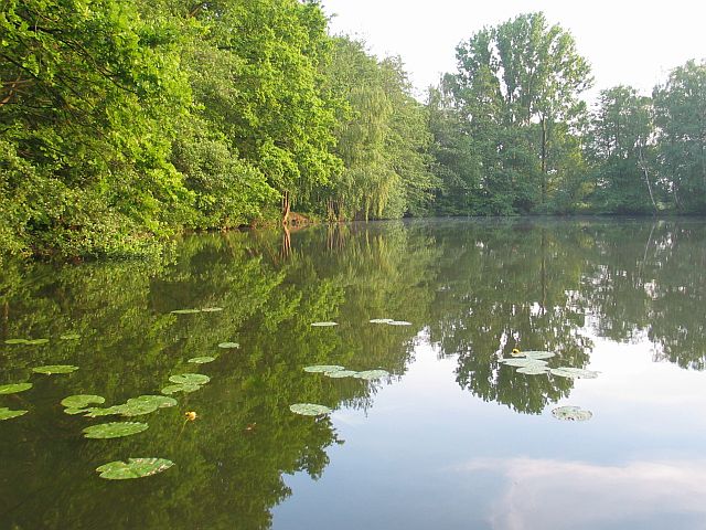 zytanien IMG_2836.jpg